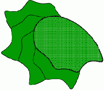 Масштабирование, вращение и искажение объектов
